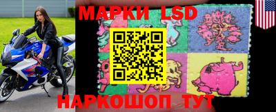 гидропоника Моздок