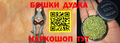 гашик Можга