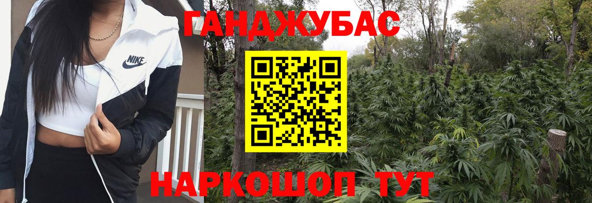 Канабис конопля Великий Устюг